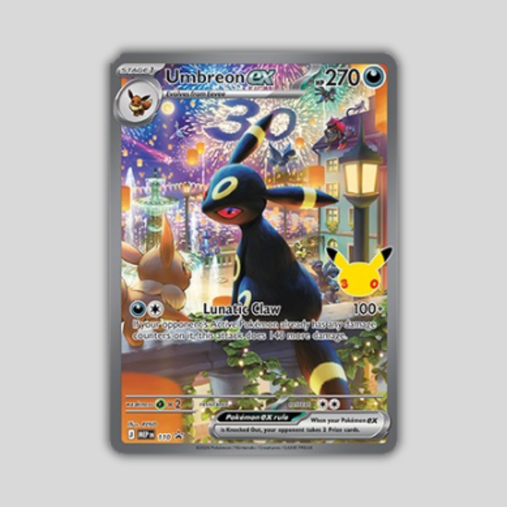 6 6